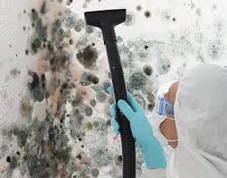 Biohazard Mold Removal in Bowie, MD